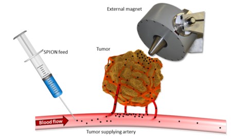 Zum Artikel "Themenbereich: Ultraschallmethoden im Kontext „Magnetic Drug Targeting“"